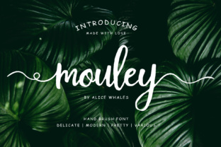 Bring Your Handmade Products to Life with Mouley Font