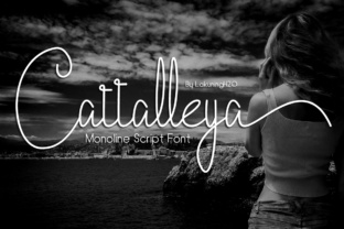 Cattalleya: Why This Handwritten Font Works for Web Design