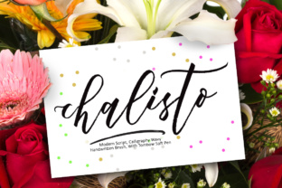 Chalisto: The Script Font That Makes Marketing Content Stop the Scroll