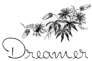 Dreamer Typeface: A Web Designer's Review of This Handwritten Font