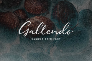 Gallendo: A Handwritten Script Font That Elevates Campaign Visuals