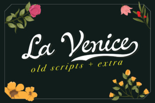 La Venice Typeface Review for Modern Web Design