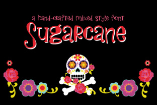 Testing Sugarcane: A Handwritten Font That Brings Personality to Web Design