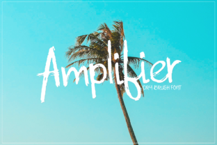 Why Amplifier Font Makes Campaign Visuals Stronger