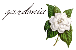 Why Versitia Is the Script Font Your Handmade Shop Needs